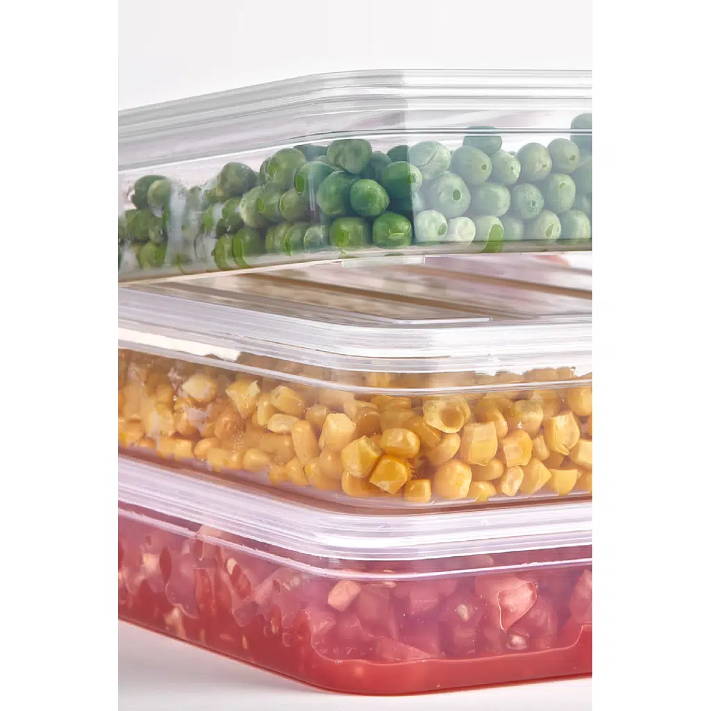 DeepFreezer Organizer Saklama Kabı Büyük (2.4 LT)(6 Adet)